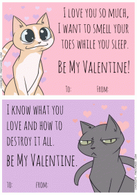Valentine Cats