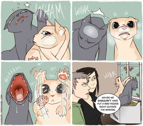 Frustrated Felines